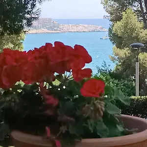  Apartamento & Flowers Free Parking